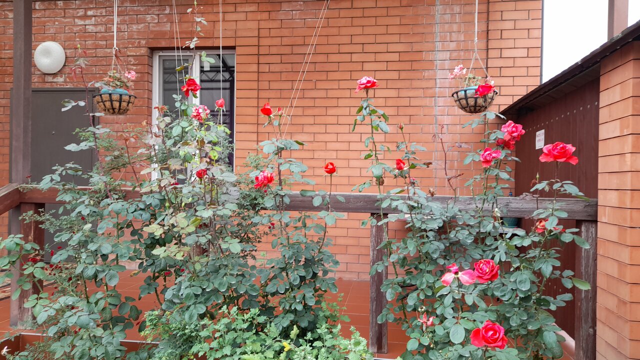 Гостиница Островок Минеральные Воды-19