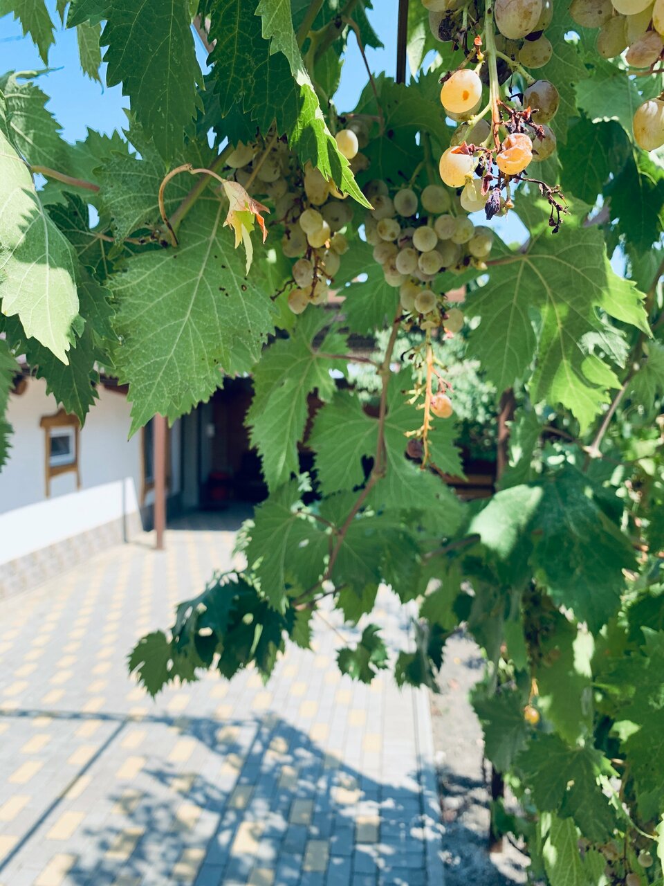 Гостиница Островок Минеральные Воды-7