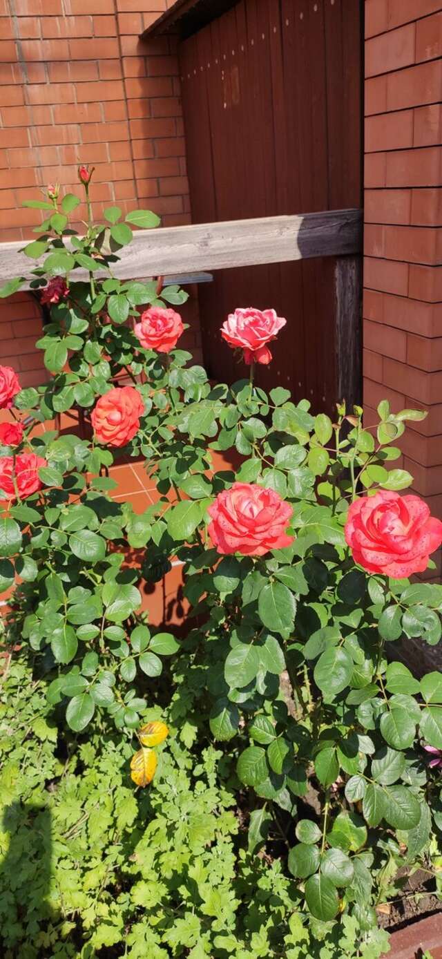 Гостиница Островок Минеральные Воды-11